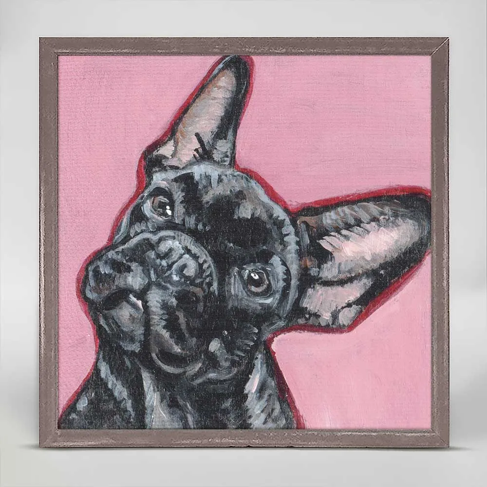 Black Frenchie Mini Framed Canvas