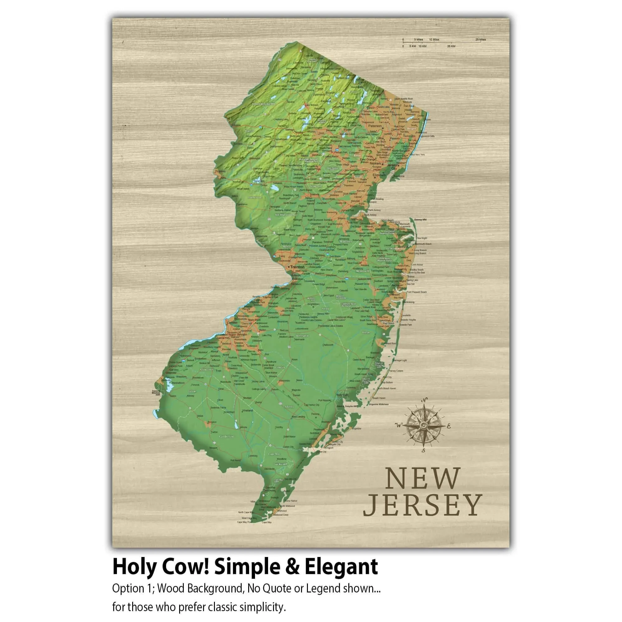 New Jersey Push Pin Terrain Map