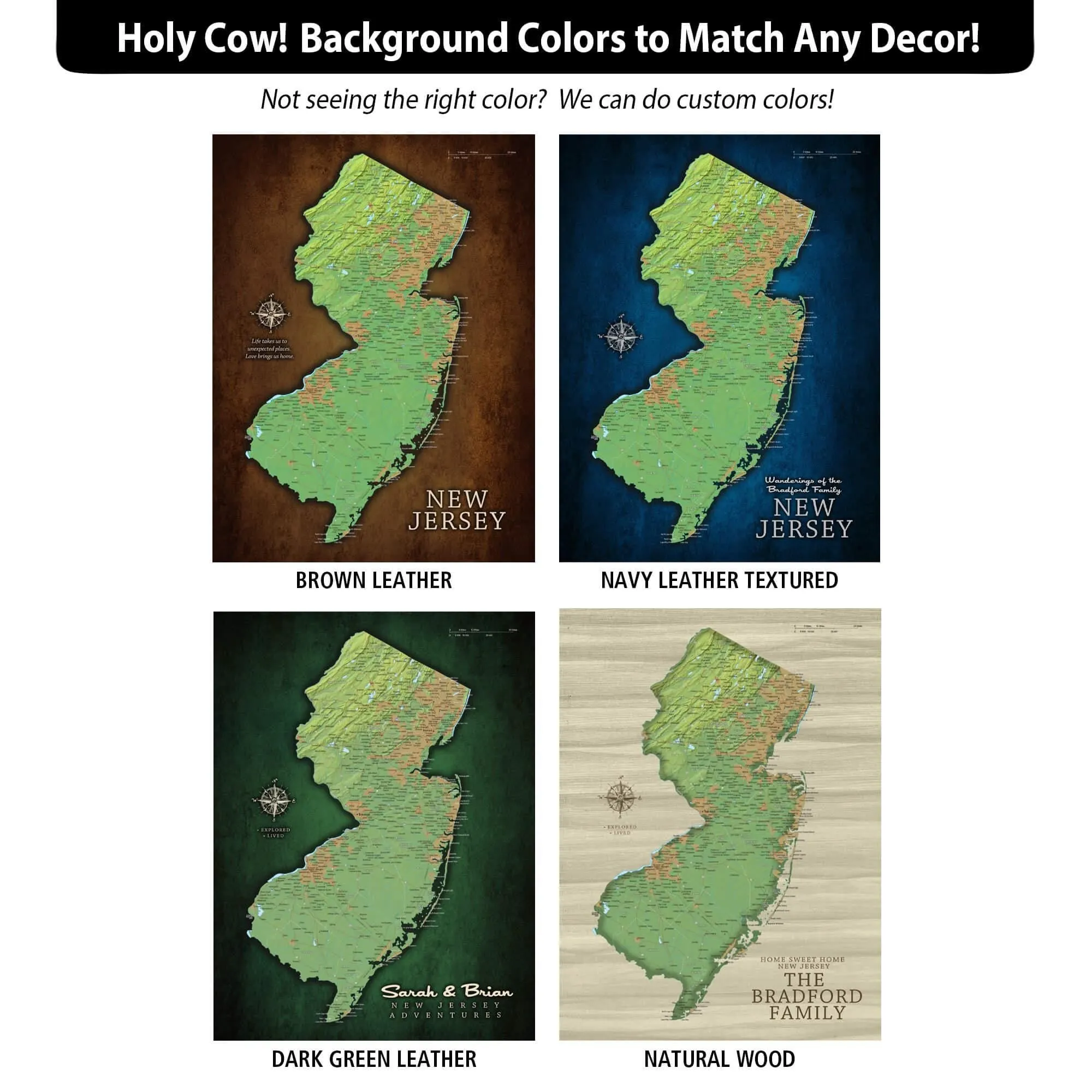 New Jersey Push Pin Terrain Map